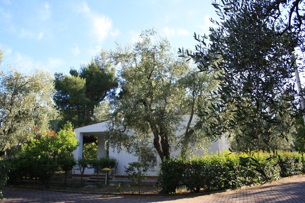 Villaggio Turistico Residence Delfino Vieste Exterior photo