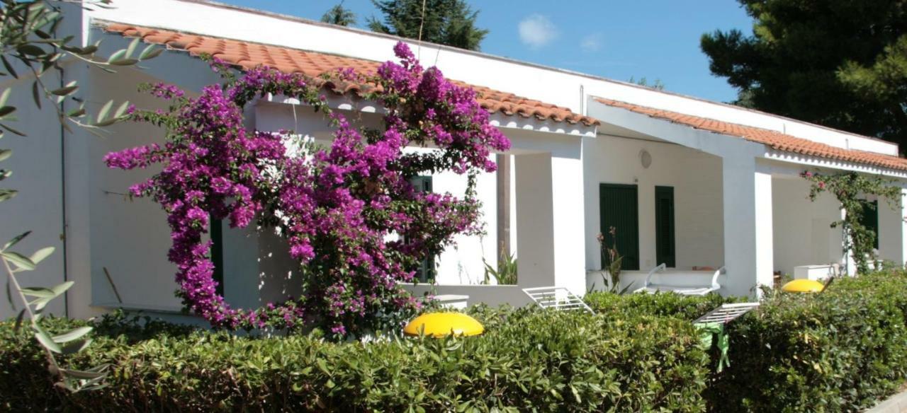 Villaggio Turistico Residence Delfino Vieste Exterior photo