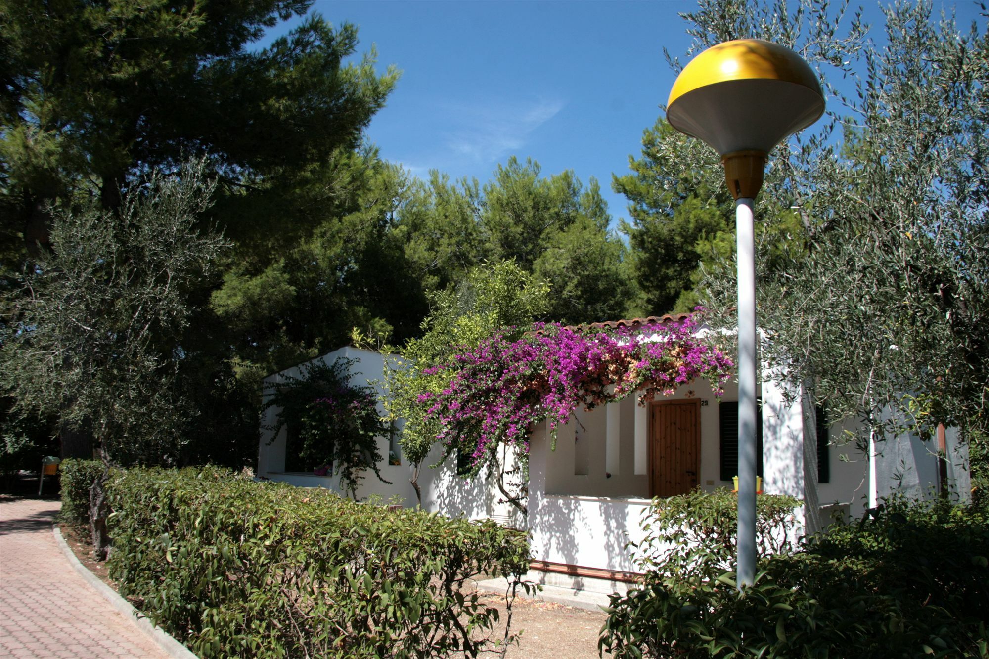 Villaggio Turistico Residence Delfino Vieste Exterior photo